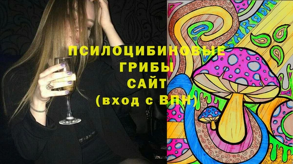 стаф Гусев